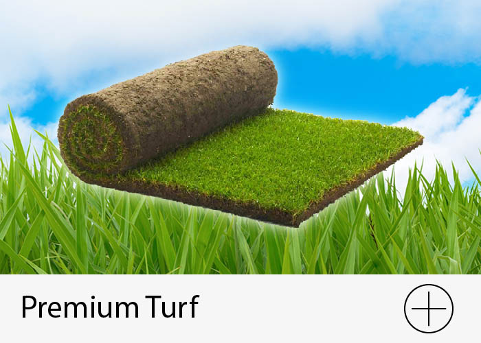 Premium Turf